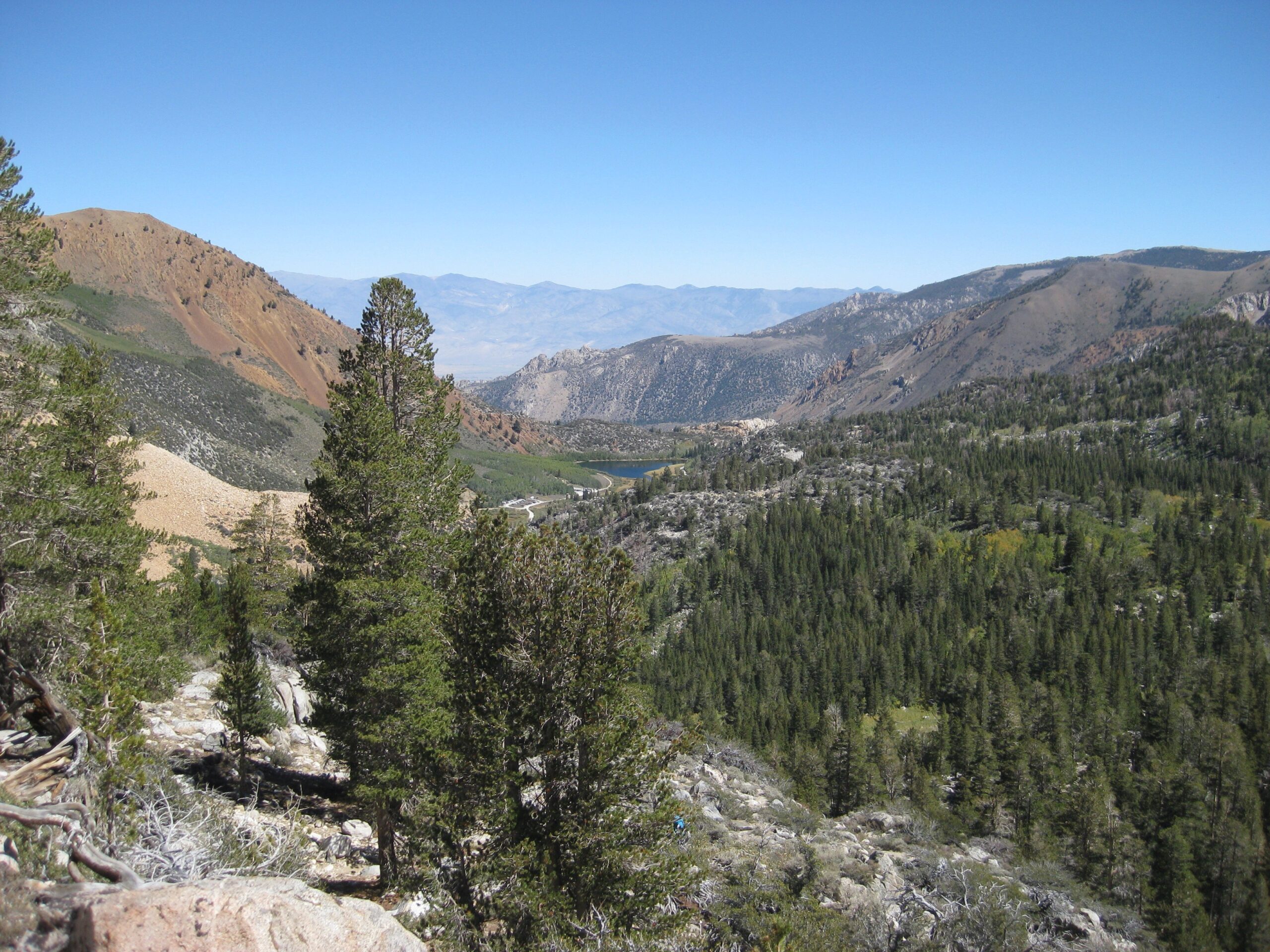 picture taken of lightly forested mountain and streams going down to a lake near Hutchinson meadows in the High Sierras