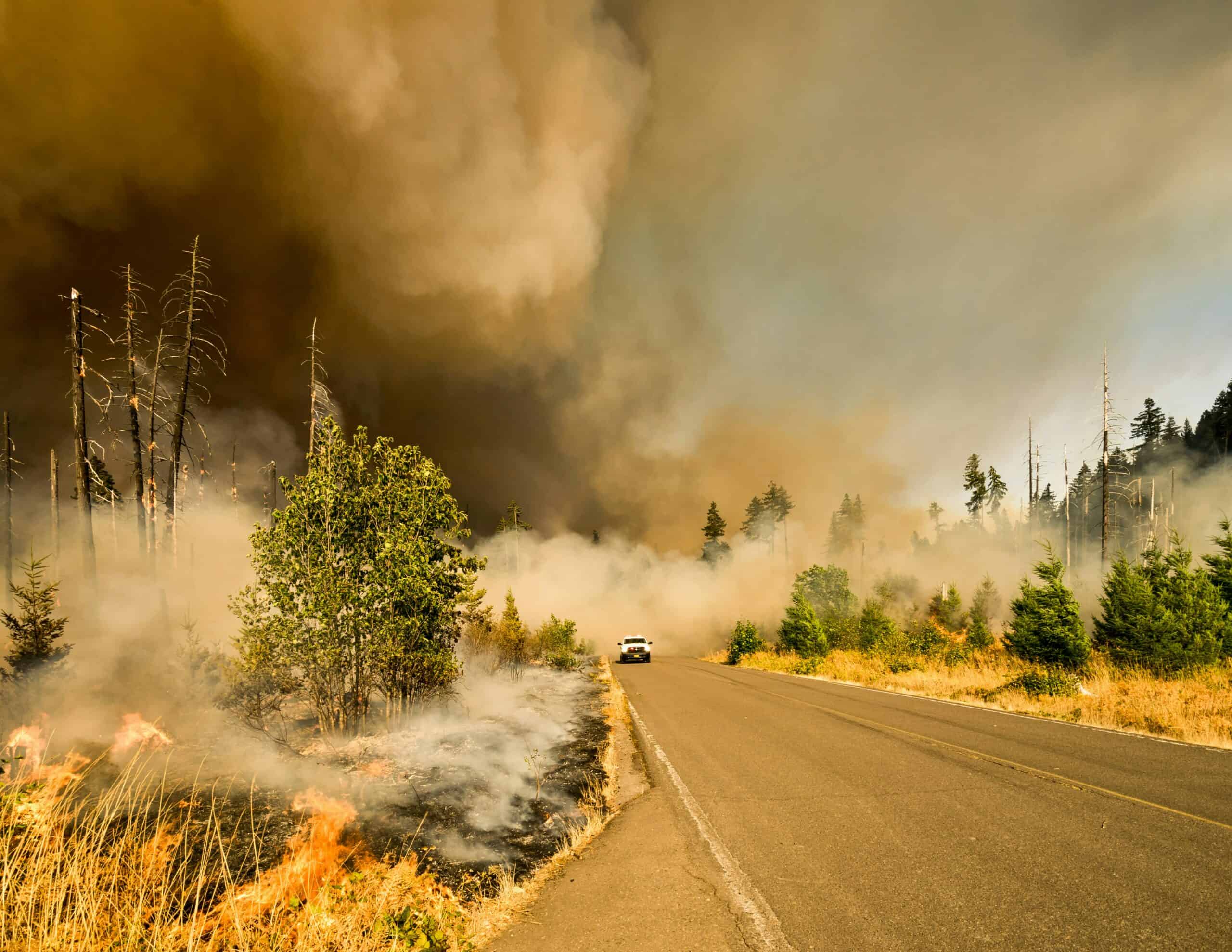 photograph during the Jones wildfire: billowing smoke, white vehicle near tall tree during daytime